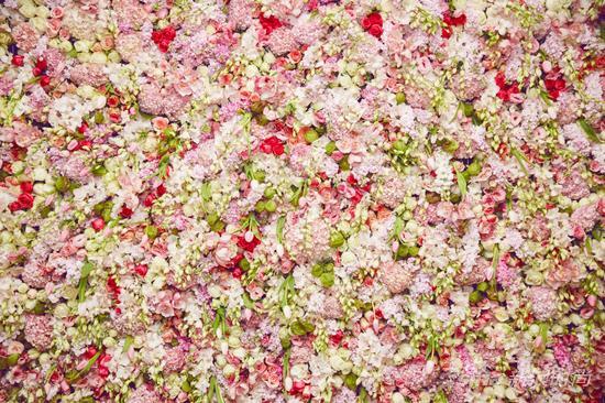 求婚现场的花海来自roseonly品牌