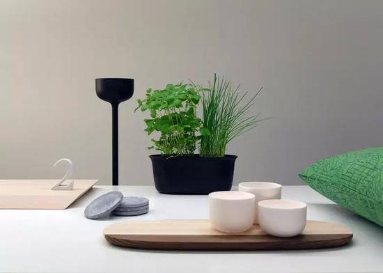 以生活中他们自己对物品的需求为灵感,设计日常用品