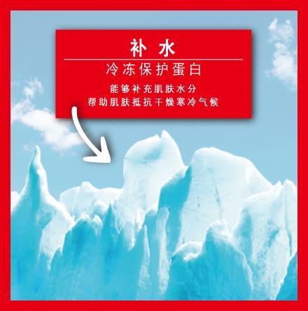 冷冻保护蛋白