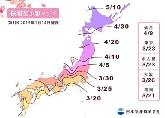 由南向北推进的“樱花前线”
