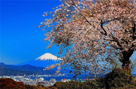 静冈县日本平
