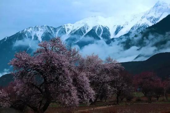 西藏,林芝