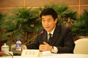 国家预防腐败局原副局长崔海容