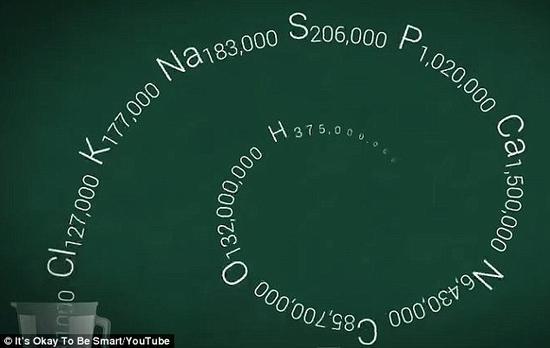 生物学家乔·汉森计算出来的人体化学式。