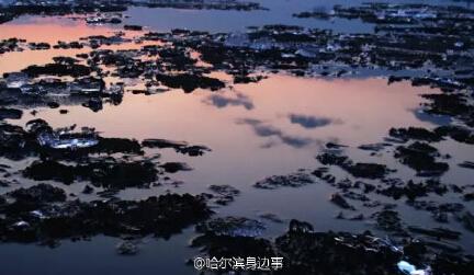 美呆了