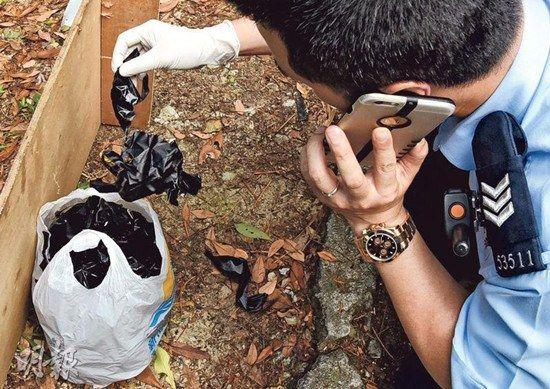 资料图片:警员检查百花林路小径旁一个胶袋,内有黑色胶纸、一包香烟及一件深色衣服,不排除是绑匪遗下。图自香港《明报》