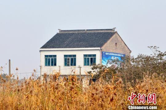 独自竖立在路边的范某家的房子。 王思哲 摄