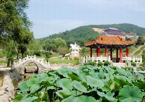 苏家屯区。