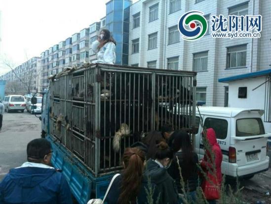 现场图