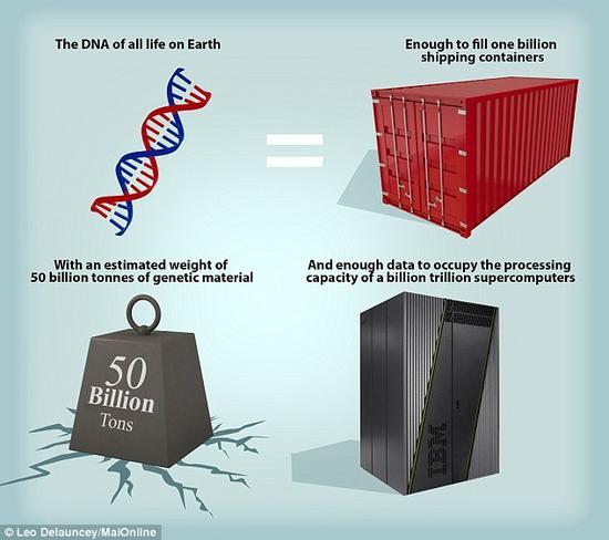 过将生命分解为无数个储存着基因编码的分子,科学家能够对地球生物圈的功能获得进一步的了解。