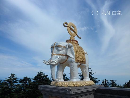 普贤坐骑“六牙白象”