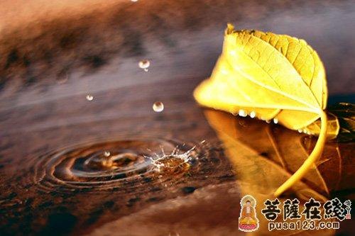 因上努力,果上随缘