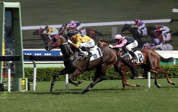 莫雷拉策骑“飞来猛”再获头马