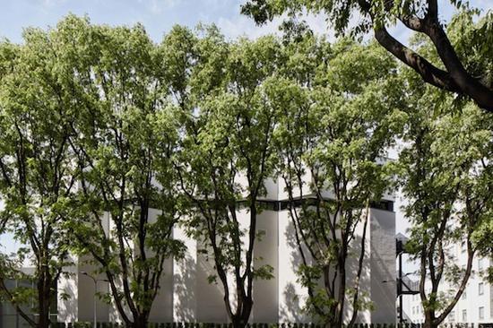 树背后那个有不少棱角的建筑就是改建后的艺术馆