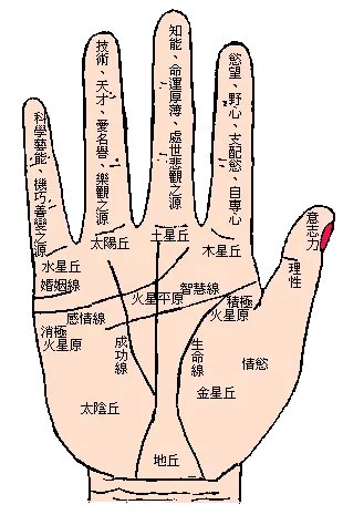附:手指的含义