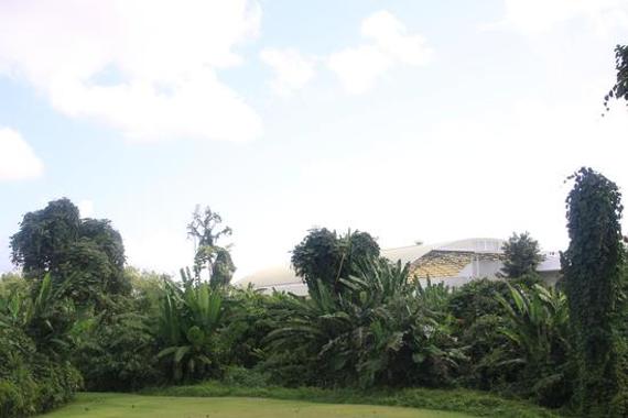 普吉岛地处热带，植被茂盛，图为酒店房间外草坪，阳光、草地、鲜氧、蓝天，足让人慵懒地待上一下午。