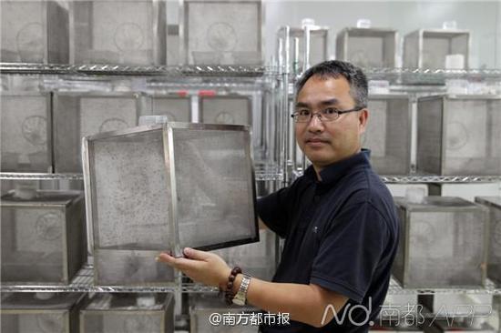 面积约3000平米的蚊子工厂,最高生产力可达每周上千万只蚊子。目前,团队已完成纯化桔小实蝇的雌雄分离株。“白色的是雌的,褐色的是雄的,根据颜色差别通过机器可有效进行雌雄分离。”但蚊子的沃尔巴克氏体菌株放进桔小实蝇体内还未能建立共生,研究仍在继续。