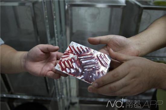 图为用于喂养雌蚊的羊血,是涂抹在金属板上的,并不是活体喂养,而雄蚊只需要糖水就可生存。