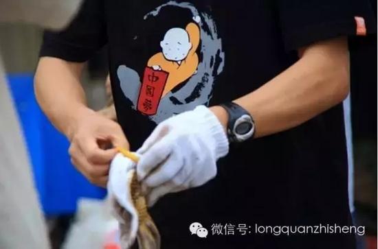 (摄影:龙泉视界)