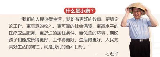 图为:习近平阐述什么是小康社会