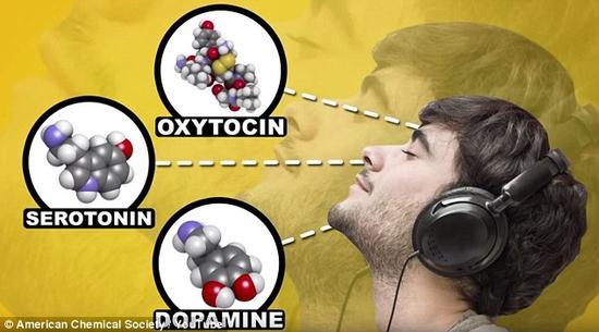 听音乐可能引发催产素、多巴胺和血清素等激素的释放。这些激素可提升情绪,使大脑保持清醒状态。
