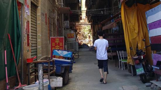 仅可容两人错身的窄小夹道,在它两边是两栋十多层高的宿舍楼。