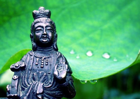 莲花有四德,一香、二净、三柔软、四可爱。
