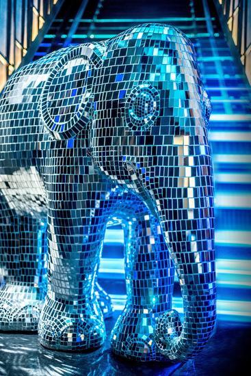2015 安纳塔拉曼谷大象巡游 参展作品 Disco Disco (炫酷象宝宝)