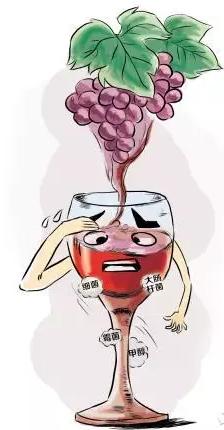 “自酿葡萄酒有毒”的说法到底可信吗?
