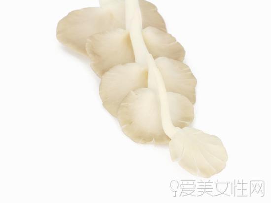 白蘑菇