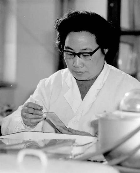 20世纪80年代初,任中医研究院中药研究所副研究员的屠呦呦在进行科研工作。新华发