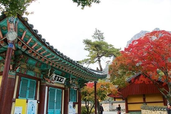 韩国赏枫蜜月之旅
