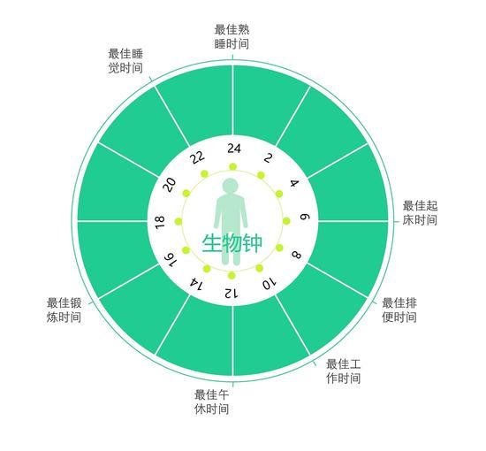 绘图:周艺珣