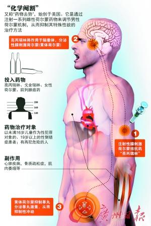 化学阉割示意图