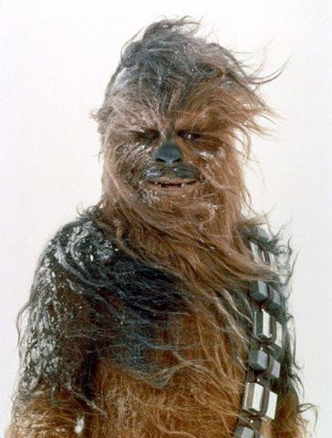 推荐造型:楚巴卡(Chewbacca)