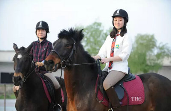 大学生眼中的马术:有趣也神秘 社团活动增进了