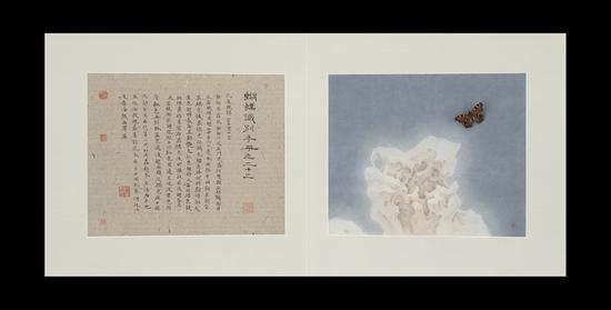 杭春晖 2015年《蝴蝶识别手册之二十二》,纸本绘画+蝴蝶标本 30×36cmx2