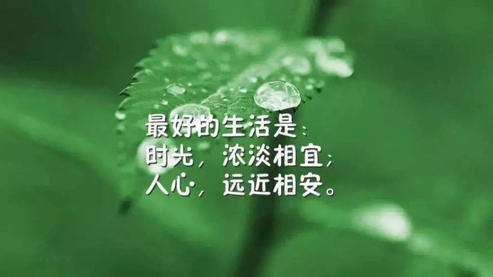 人生感悟经典句子，句句触动人心