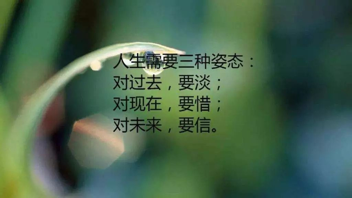 人生感悟经典句子，句句触动人心