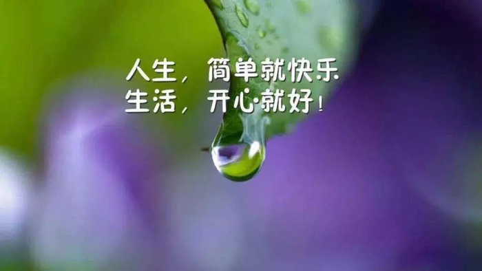 人生感悟经典句子，句句触动人心