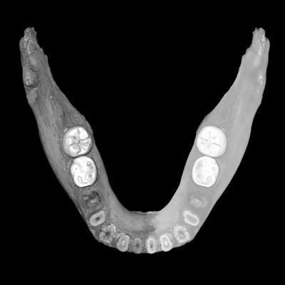 研究发现：16万年前人类已登上青藏高原