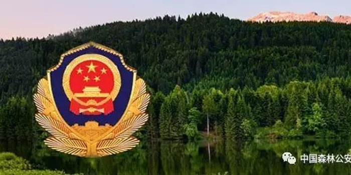 全员行动 任务必达!全国春雷2018专项行动打