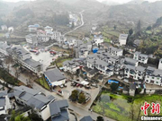 湖南凤凰有支“女子嫁接队” 新型职业农民助力乡村振兴