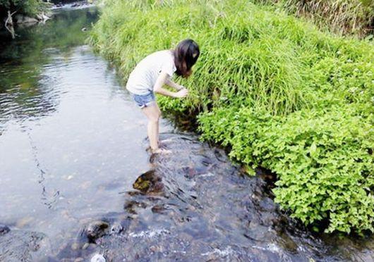 你爱吃的这款无锡“高帅富”土特产，又遇到了新难题……