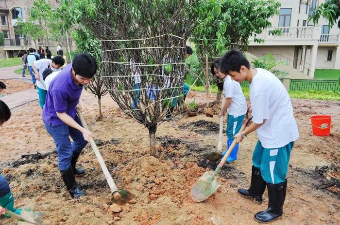 环境赞，教学强，人才精！广东实验中学南海学校果然非一般！