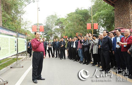 国家林草局规财司副司长郝雁玲一行参观考察高峰林场国家储备林示范基地