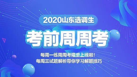 金乡事业单位第三批“优才计划”报名初审情况