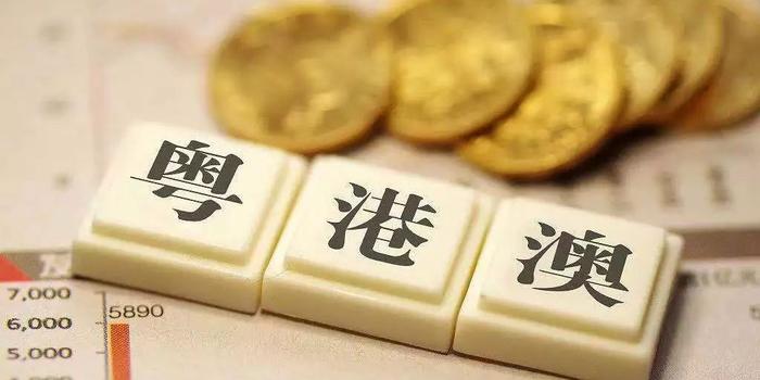 澳港澳大湾区经济总量_奥港澳大湾区(2)