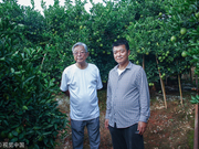 褚时健父子的40年：从对抗和解到子承父业