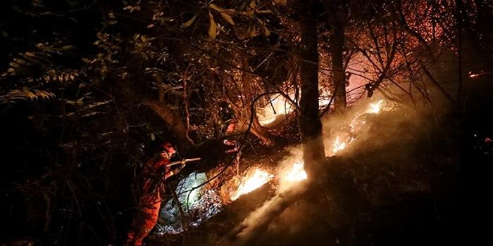 四川凉山州木里县发生森林火灾,有扑火人员失联